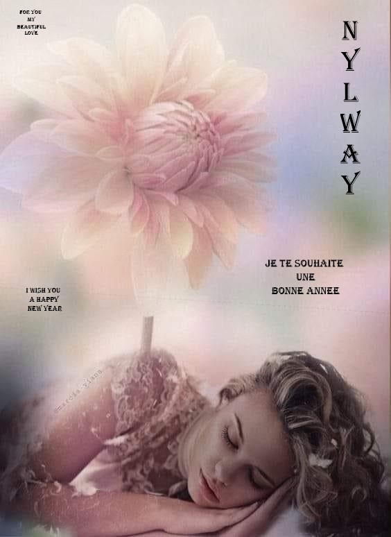 Je te souhaite une bonne année